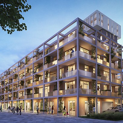 NFC Timber 4 NFC TIMBER SPIRIT